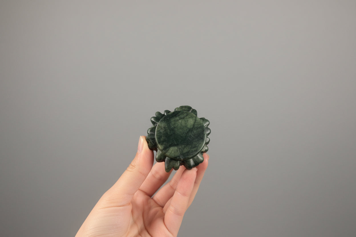 Árbol de jade verde