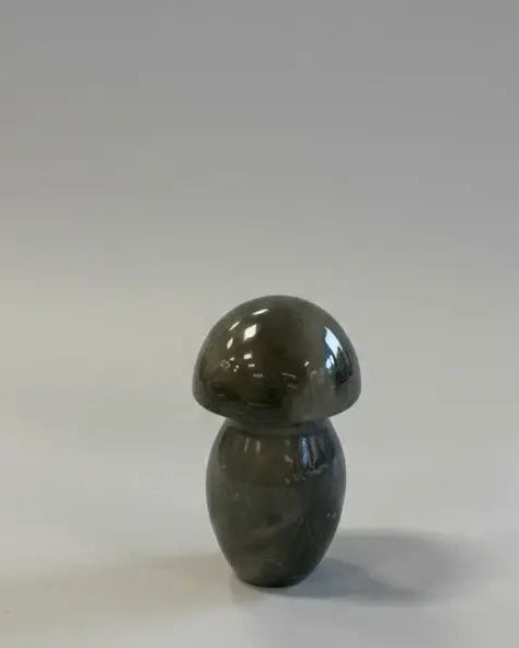 Champiñón de jaspe policromado