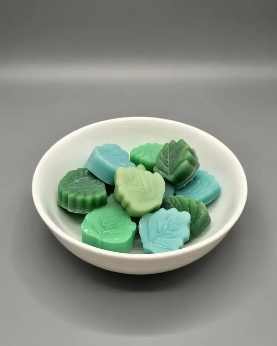 ¿Qué son los wax melts y cómo se utilizan?