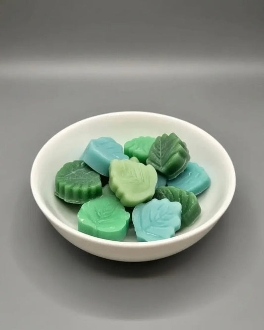 ¿Qué son los wax melts y cómo se utilizan?