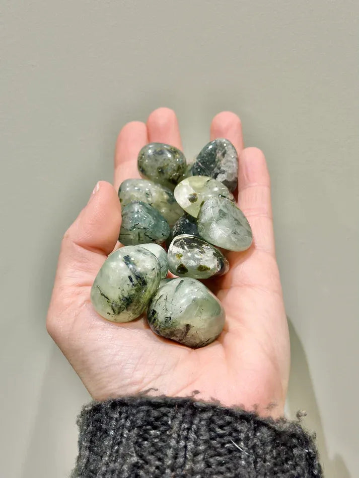 Larimar - La Quinta Vidal