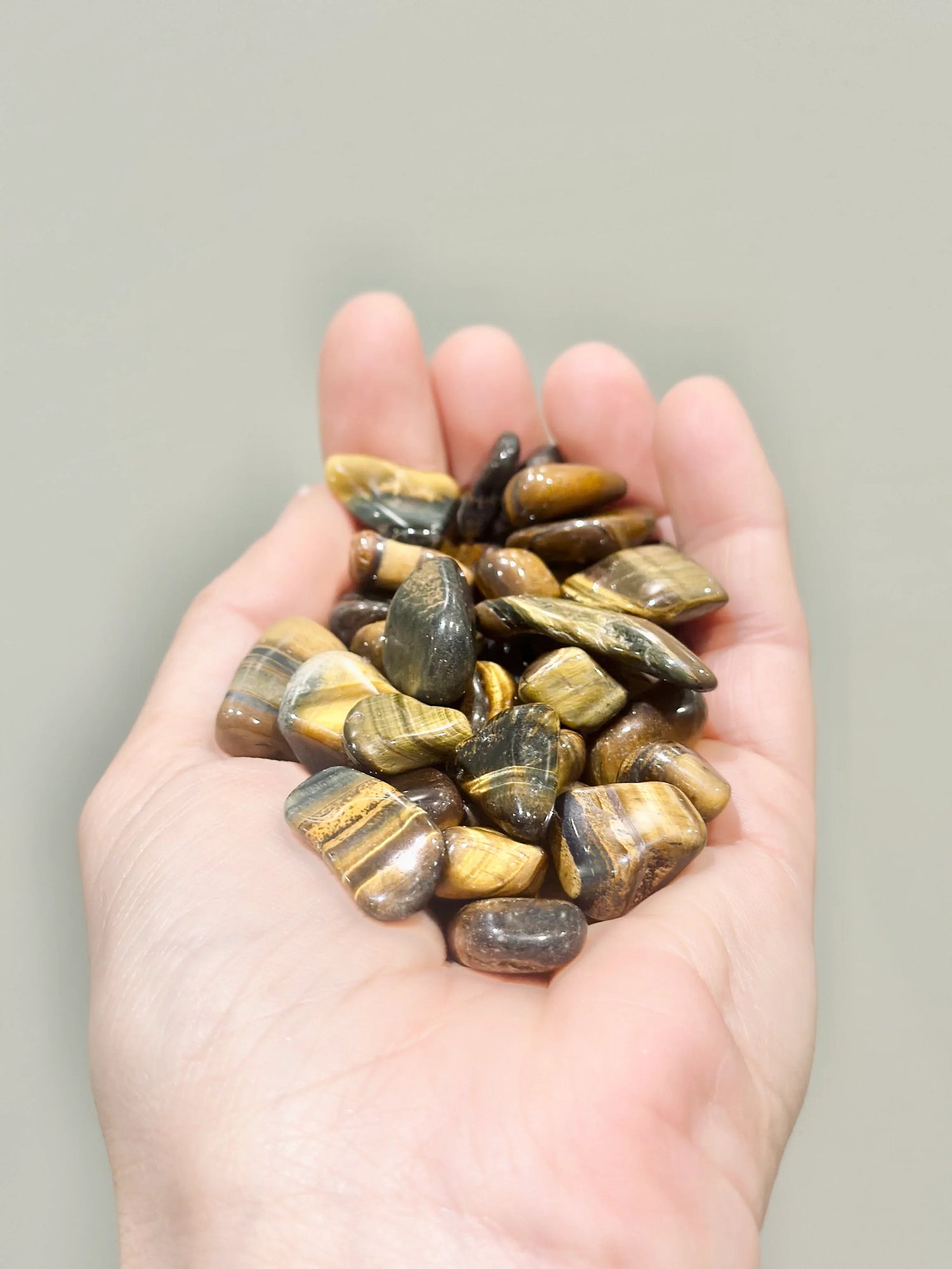 Ojo de tigre - La Quinta Vidal