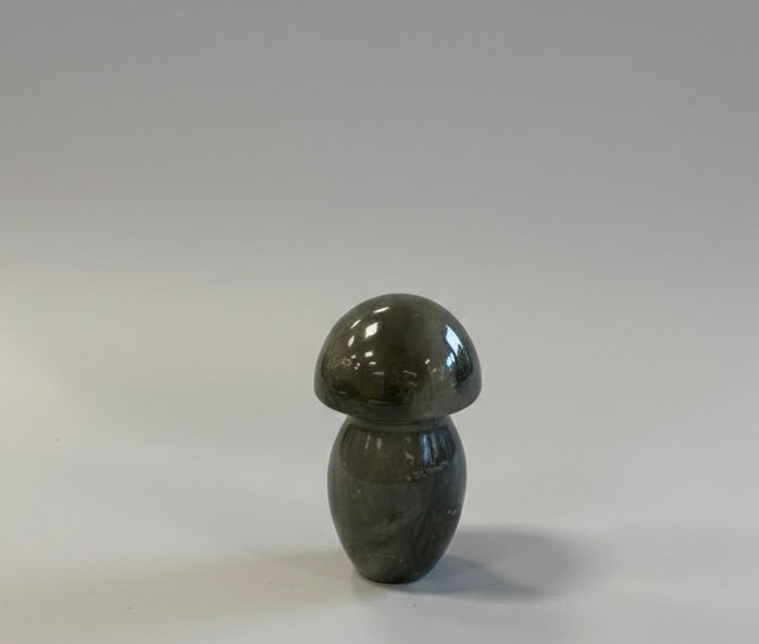 Champiñón de jaspe policromado