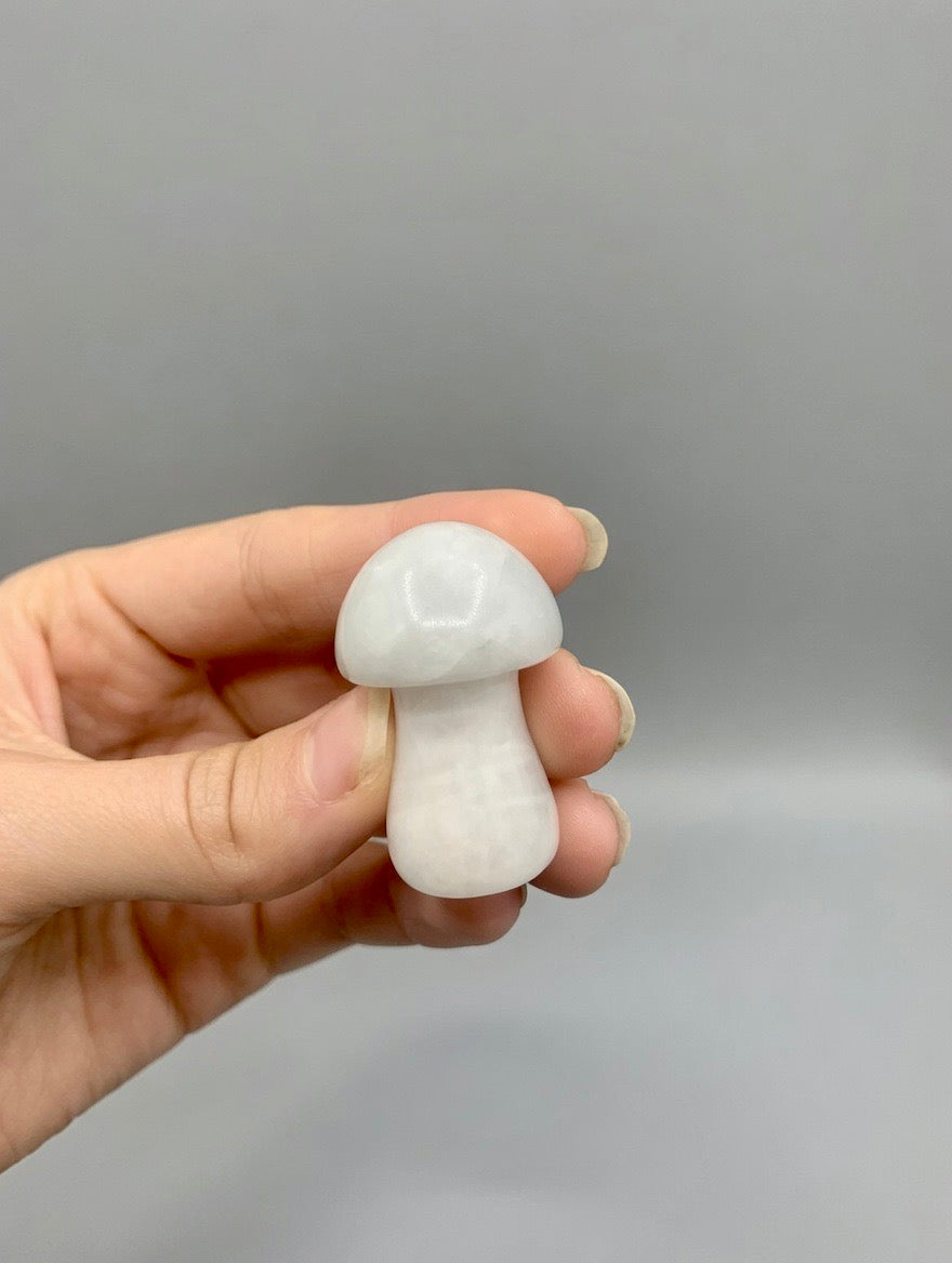 Champiñones de mineral 