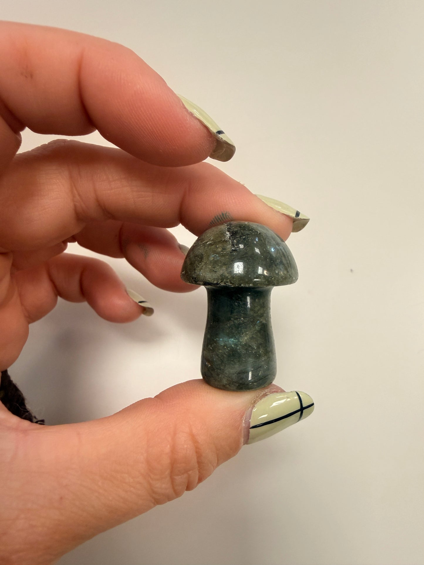 Champiñones tallados de mineral variados 