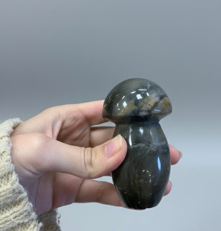 Champiñón de jaspe policromado