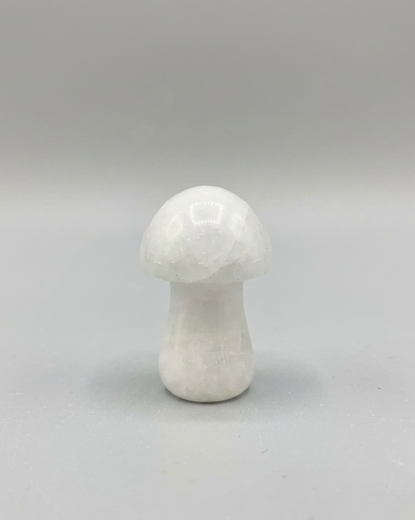 Champiñón de jade blanco 