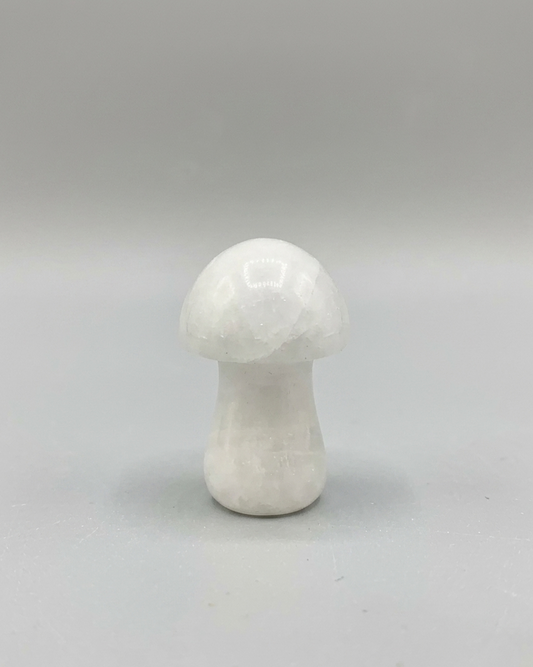 Champiñón de jade blanco 