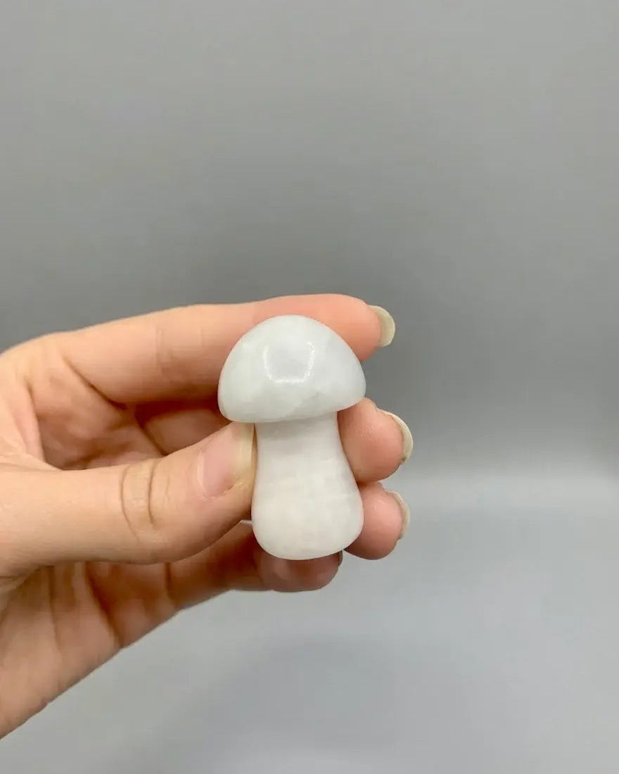 Champiñón de jade blanco 
