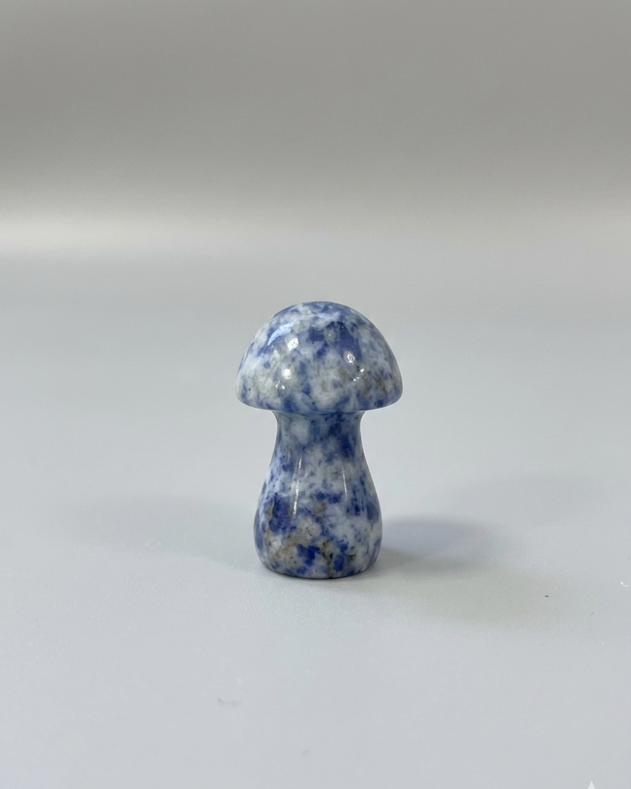 Champiñón de jaspe de lunares azules 