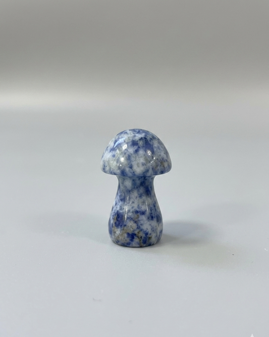 Champiñón de jaspe de lunares azules 