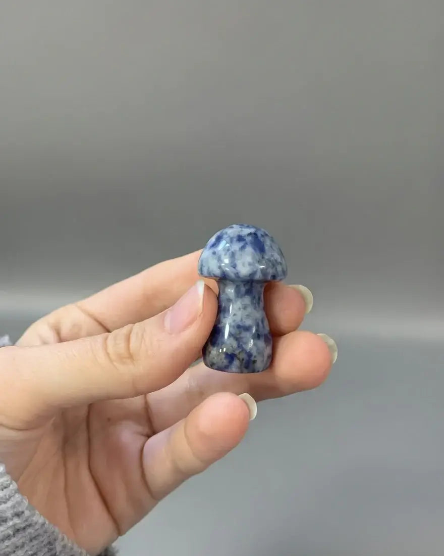 Champiñón de jaspe de lunares azules 