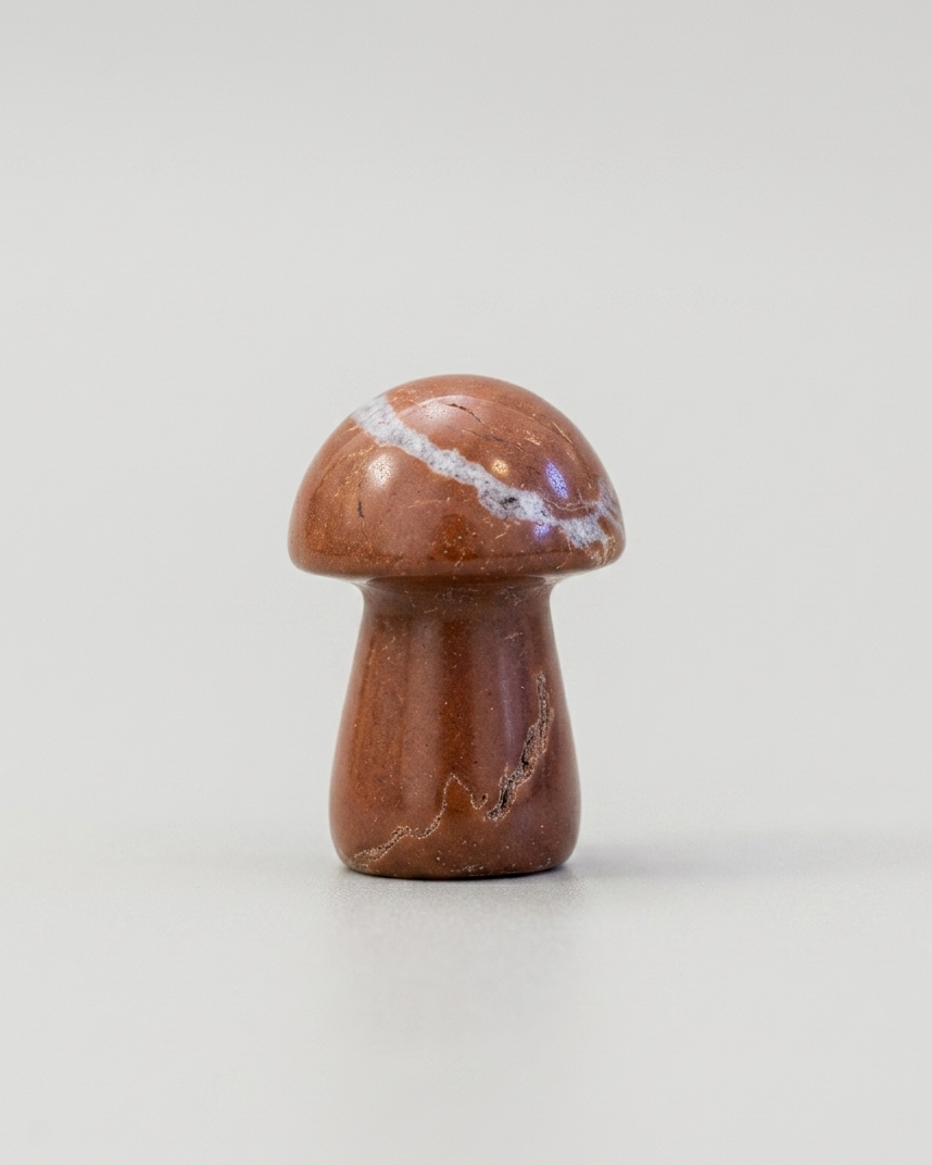 Champiñón de jaspe rojo 