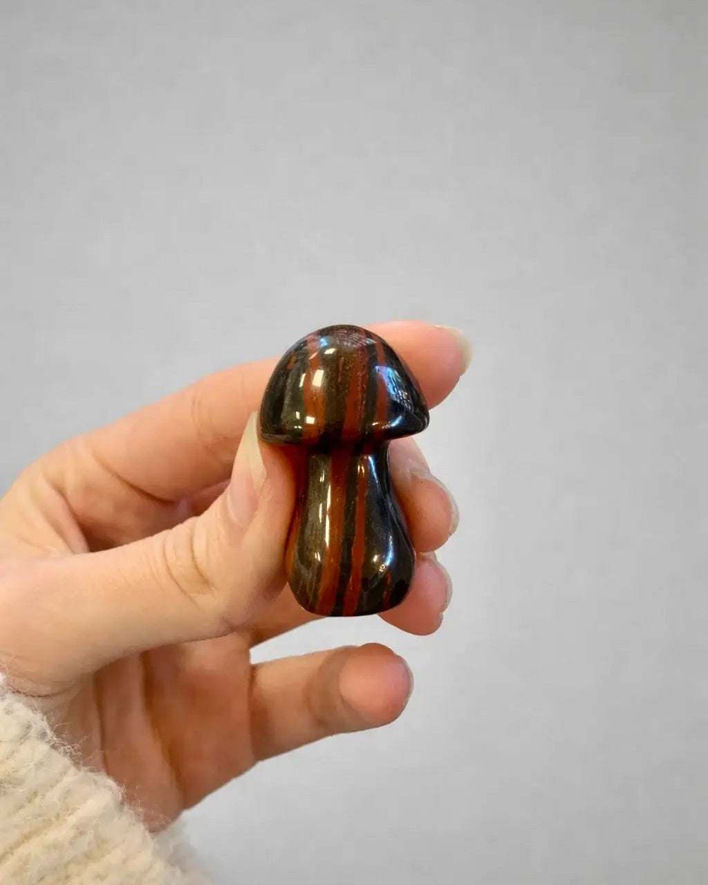 Champiñón de jaspe rojo con bandas de hematite 