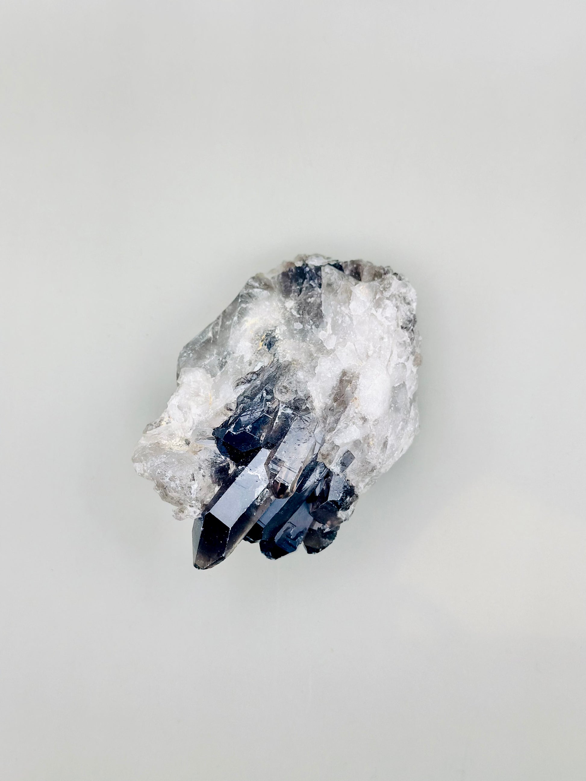 Drusa de mineral de  cuarzo ahumado 