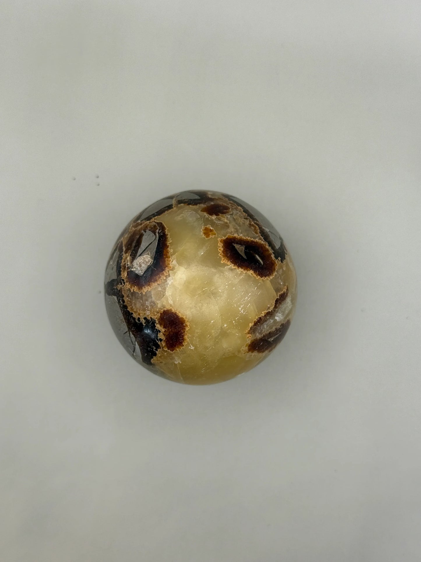 Esferas de Septaria - La Quinta Vidal