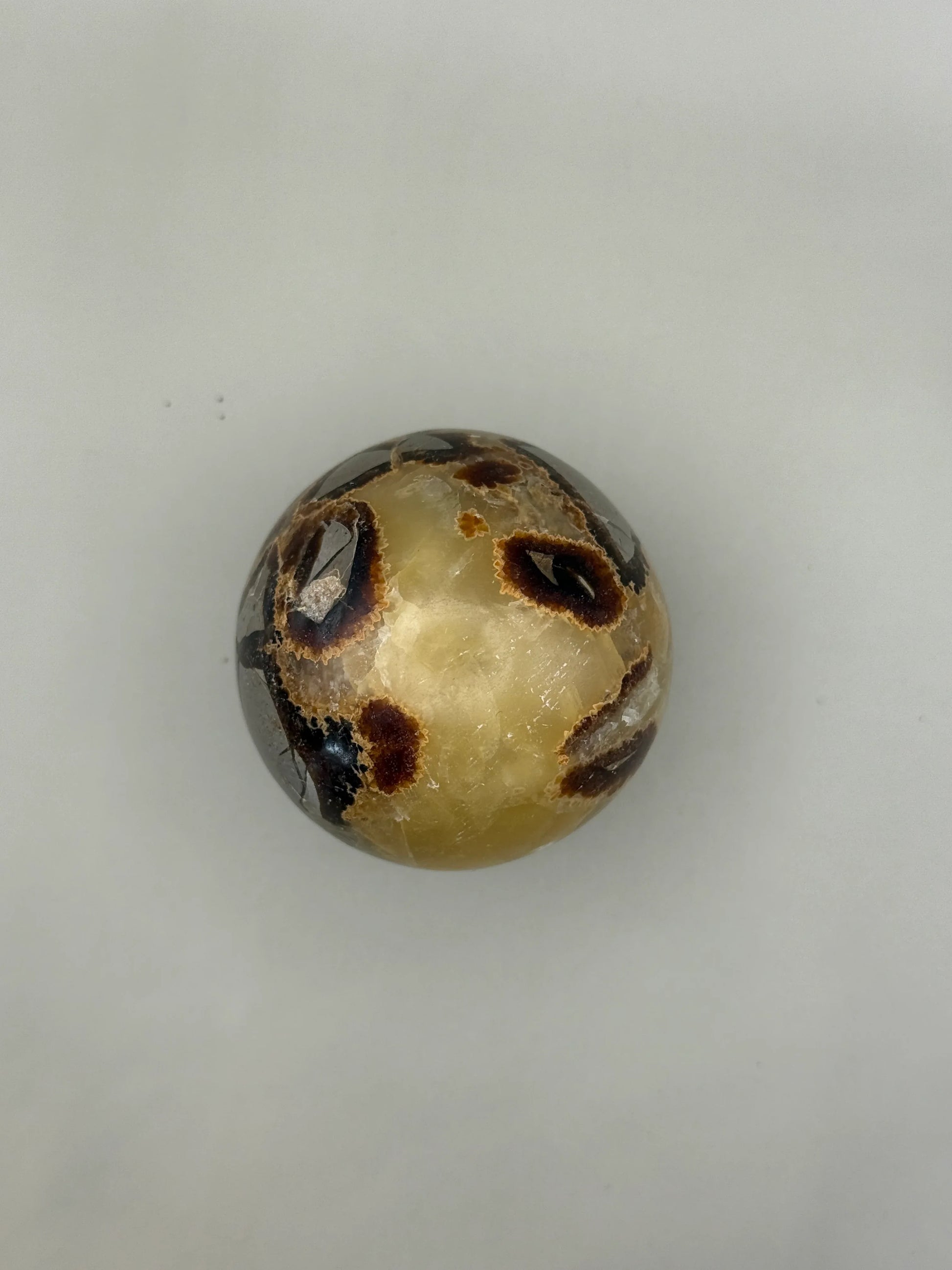 Esferas de Septaria - La Quinta Vidal