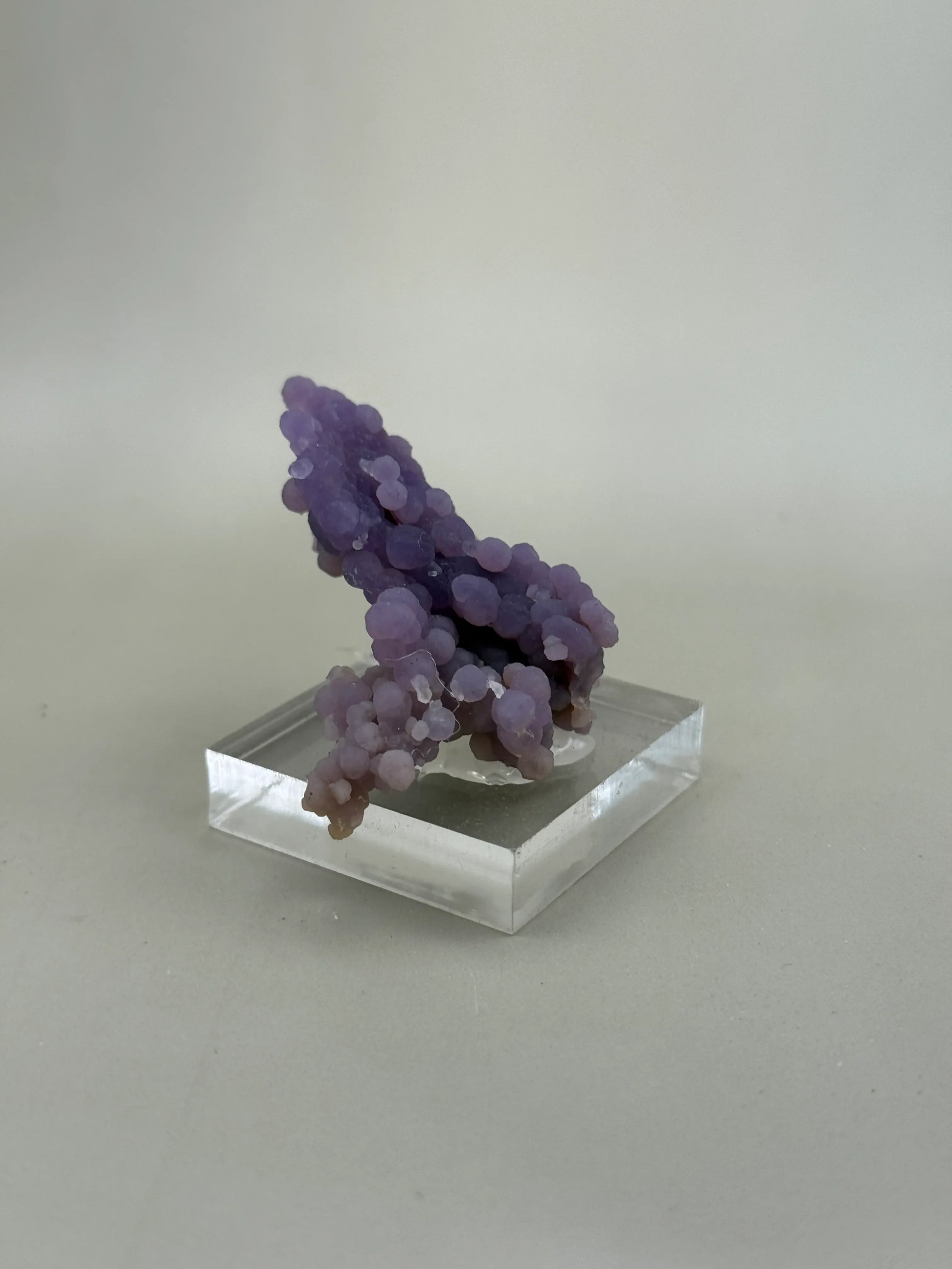 Forma libre de Ágata Uva - La Quinta Vidal