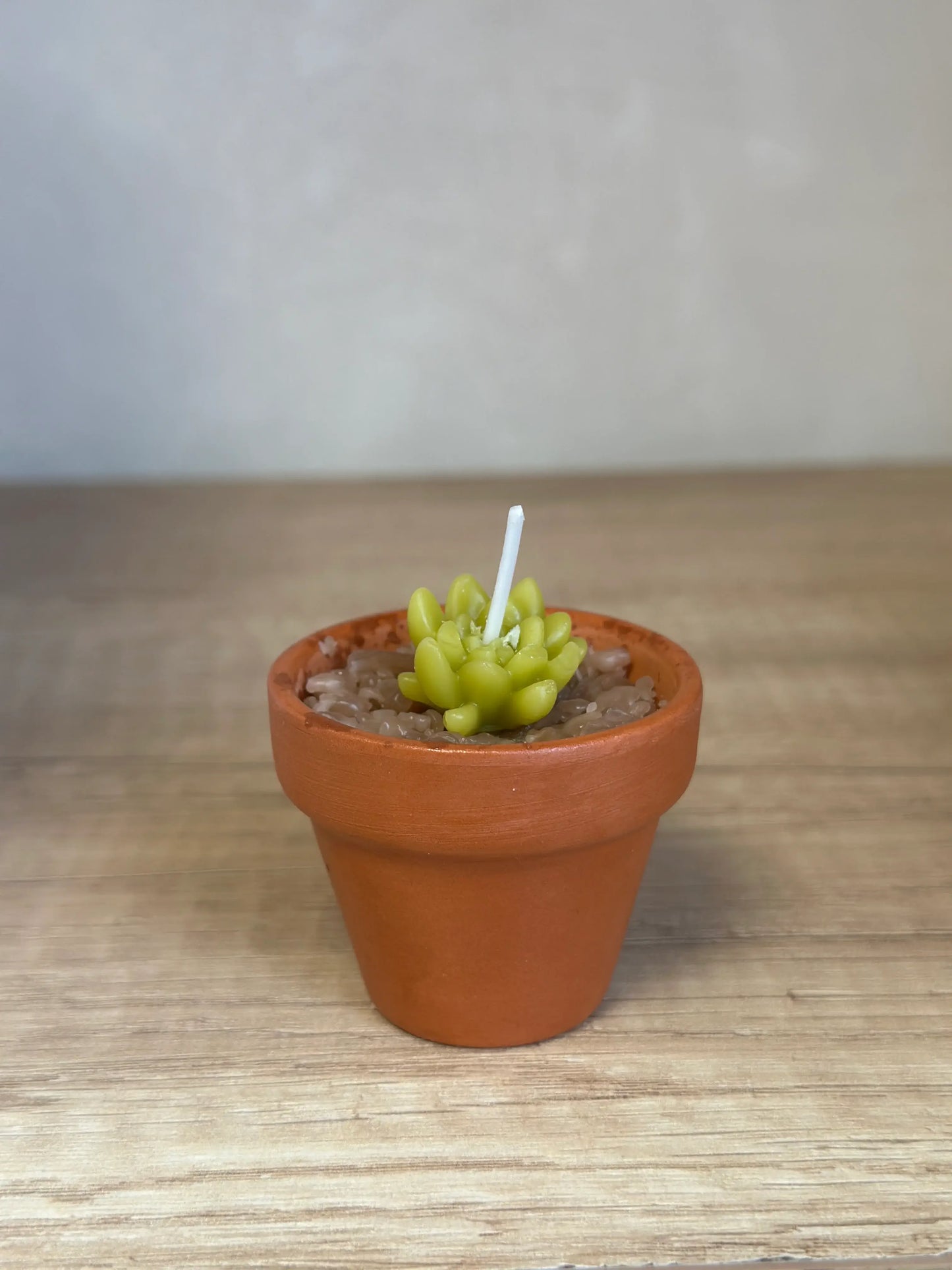Vela de cera de abeja Suculenta mini