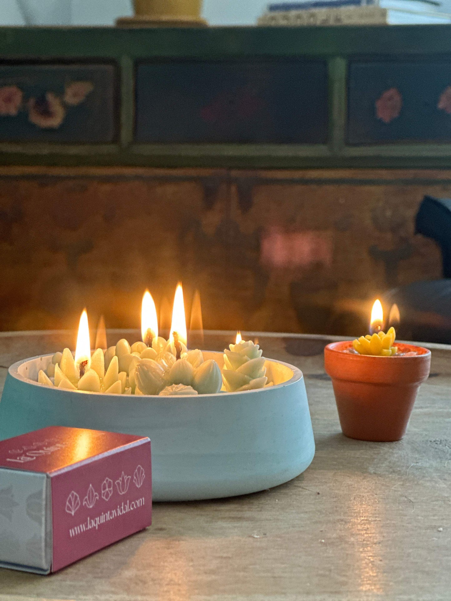 Vela de cera de abeja Suculenta mini