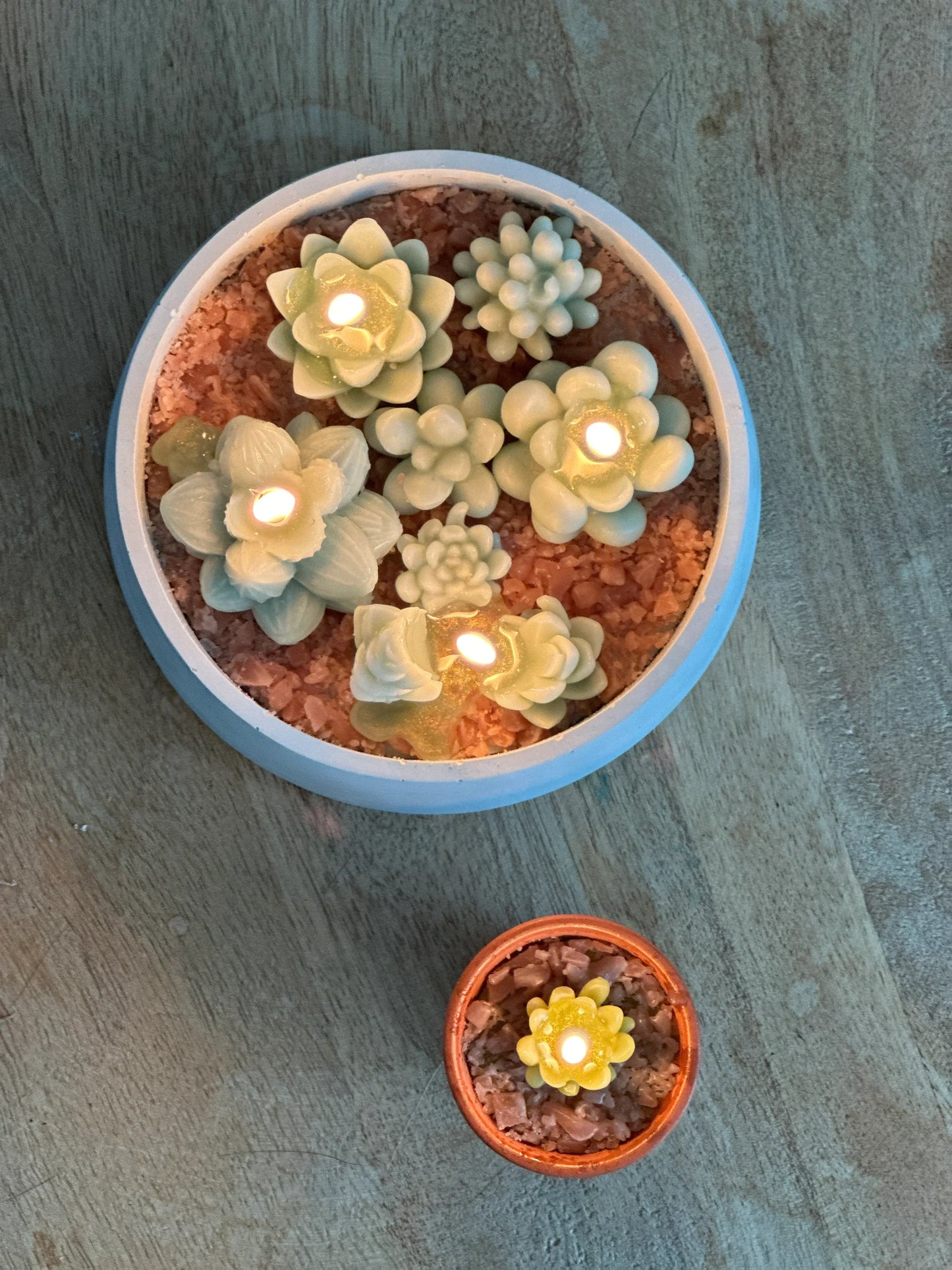 Vela de cera de abeja Suculenta mini