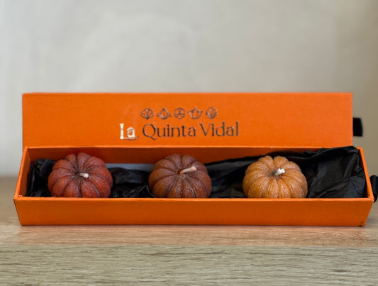 Conjunto de 3 Velas decorativas Calabacita