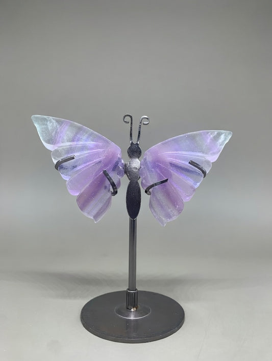Mariposa de fluorita multicolor