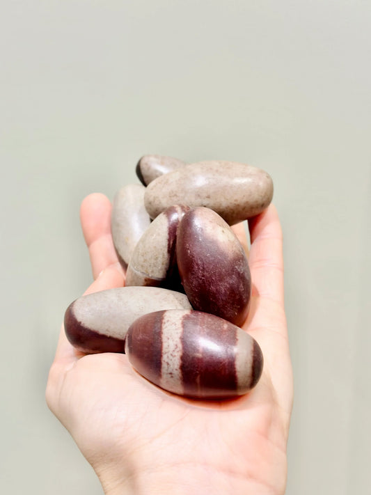 Pack de 2 Rodados de Shiva Lingam - La Quinta Vidal
