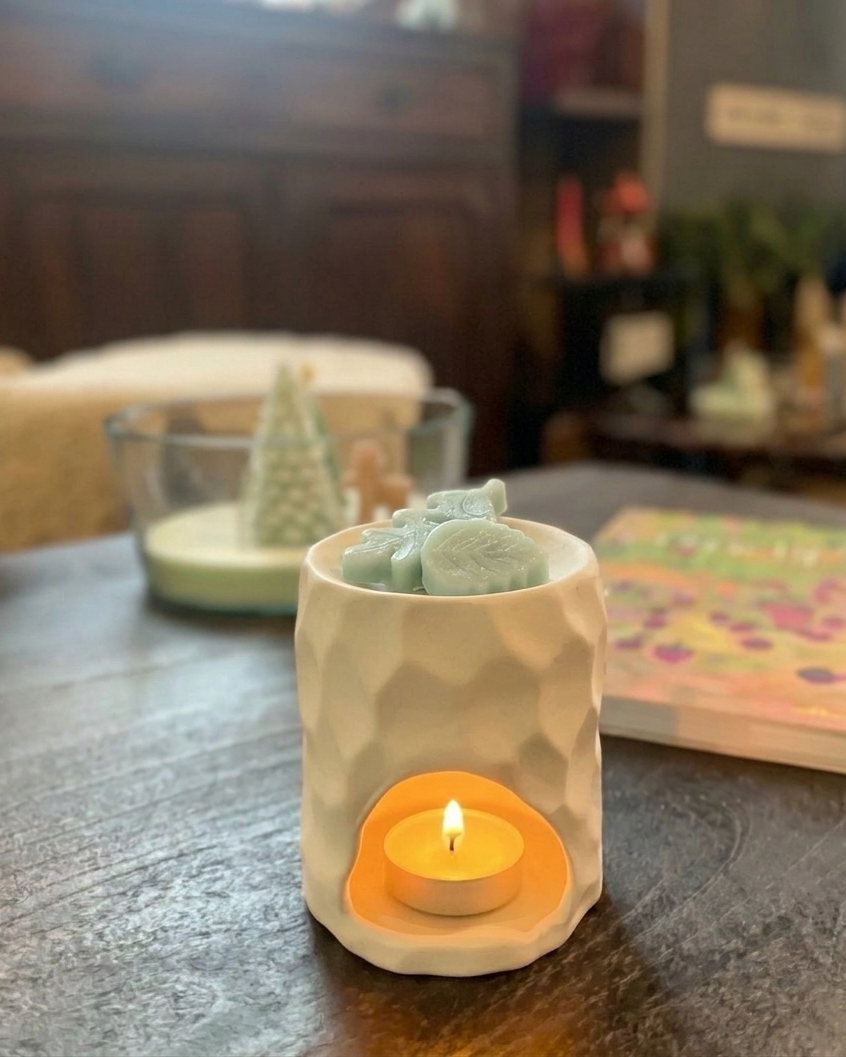 Pack de wax melts con aromas