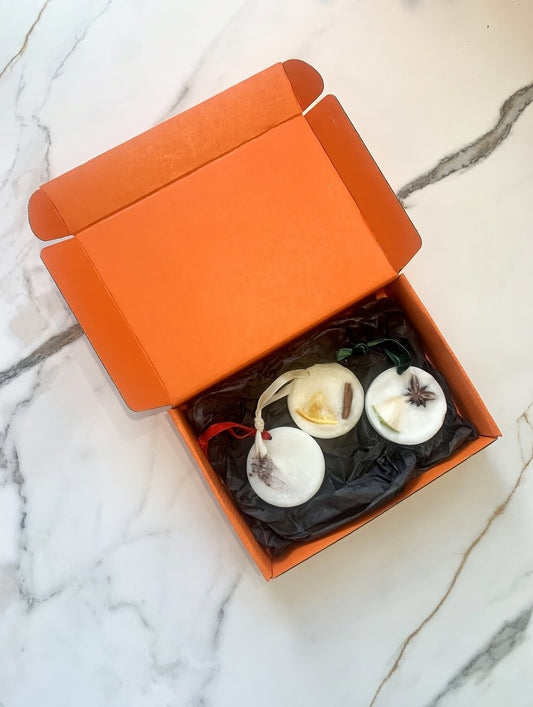 Pack ambientadores sólidos 