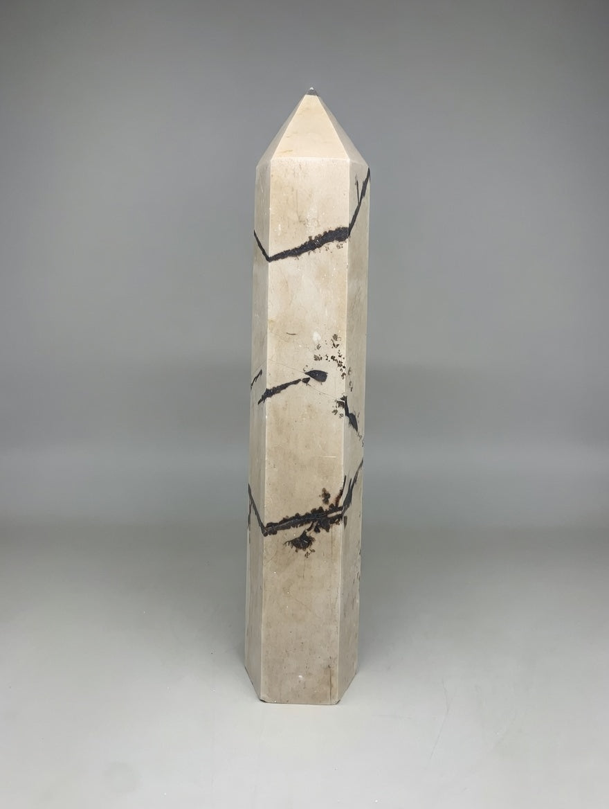 Punta generadora de septaria