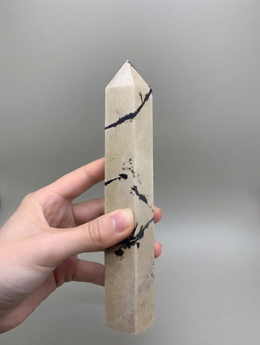 Punta Generadora de Septaria