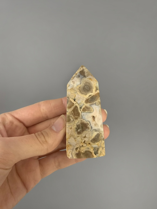 Punta generadora de calcedonia dendítrica