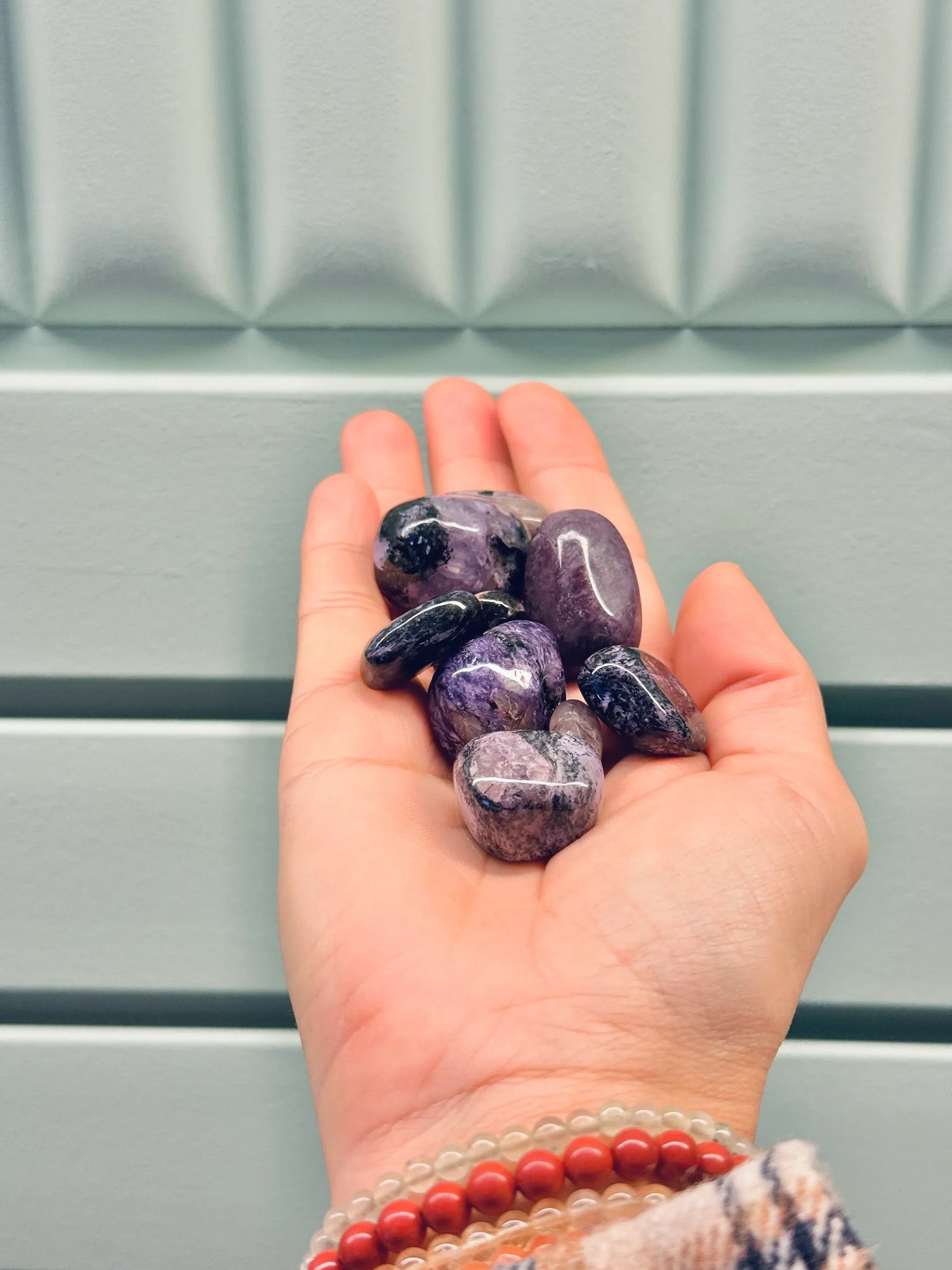 Rodado de Charoita - La Quinta Vidal