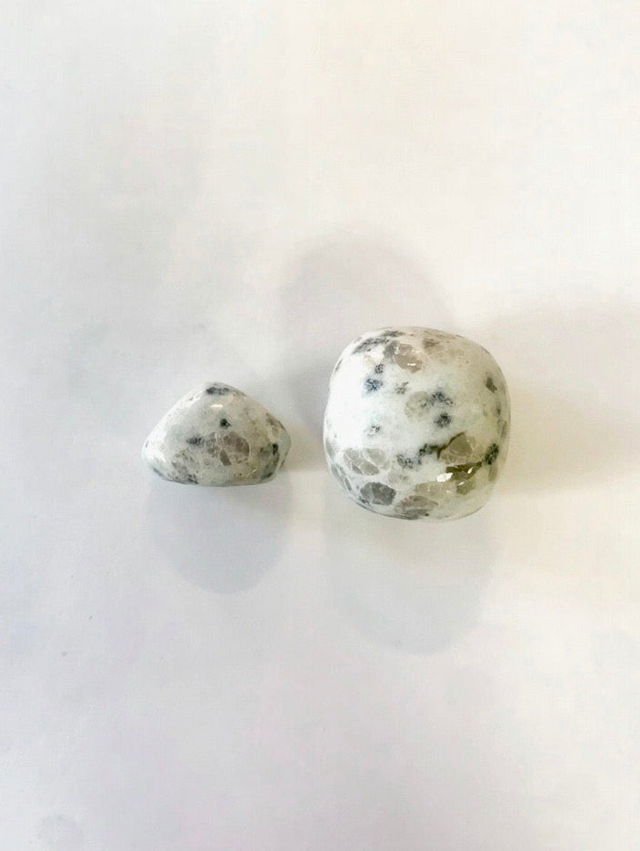 Rodado de cuarzo pino fenix