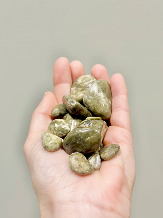 Rodado de Epidota copo de nieve - La Quinta Vidal