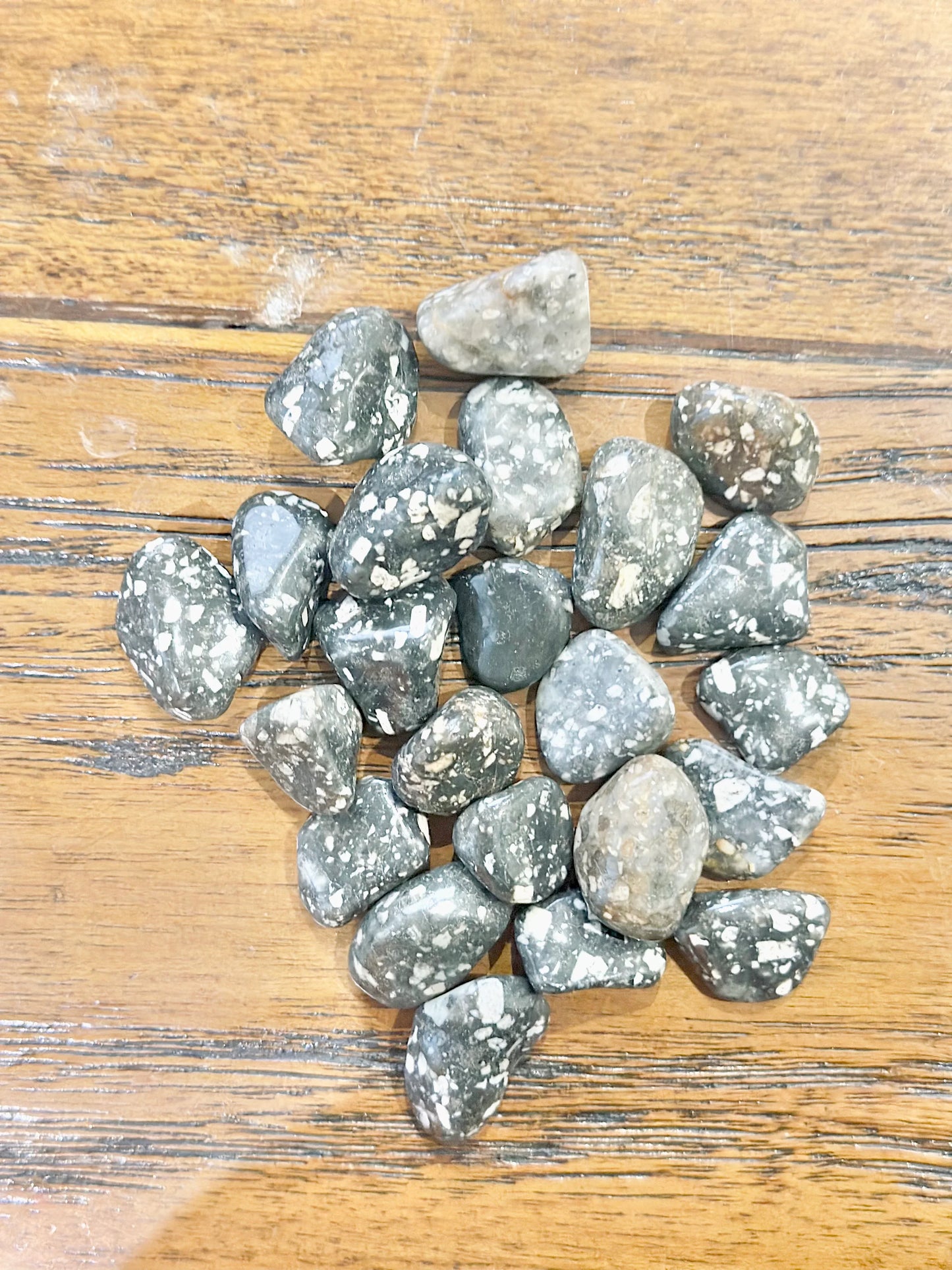 Rodado de Gallina de Guinea o Jaspe leopardo negro - La Quinta Vidal