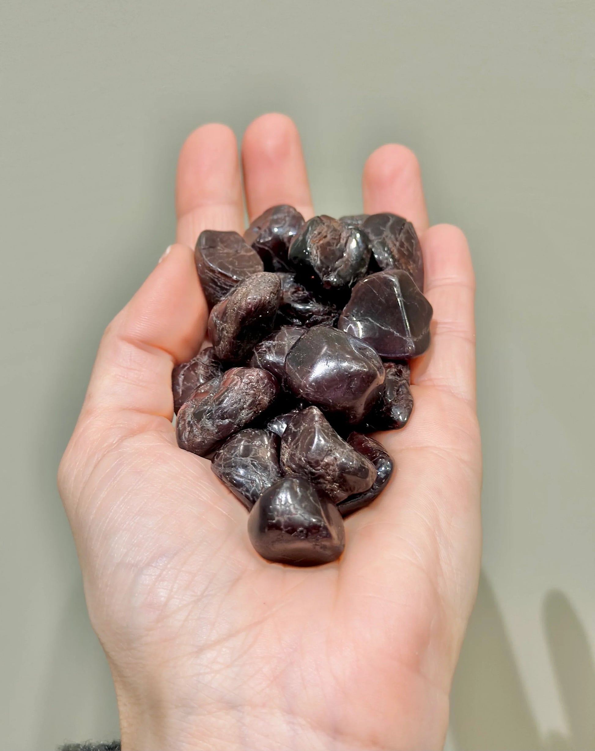 Rodado de Granate - La Quinta Vidal