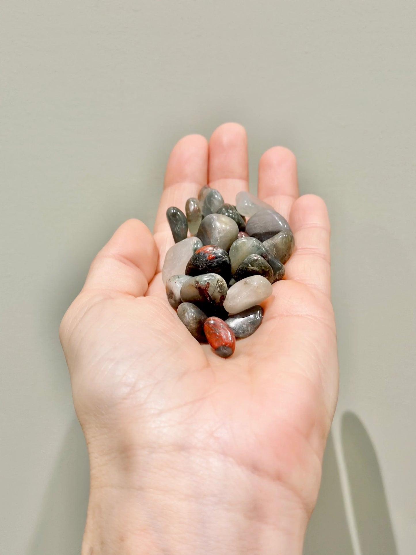 Rodado de Heliotropo - La Quinta Vidal