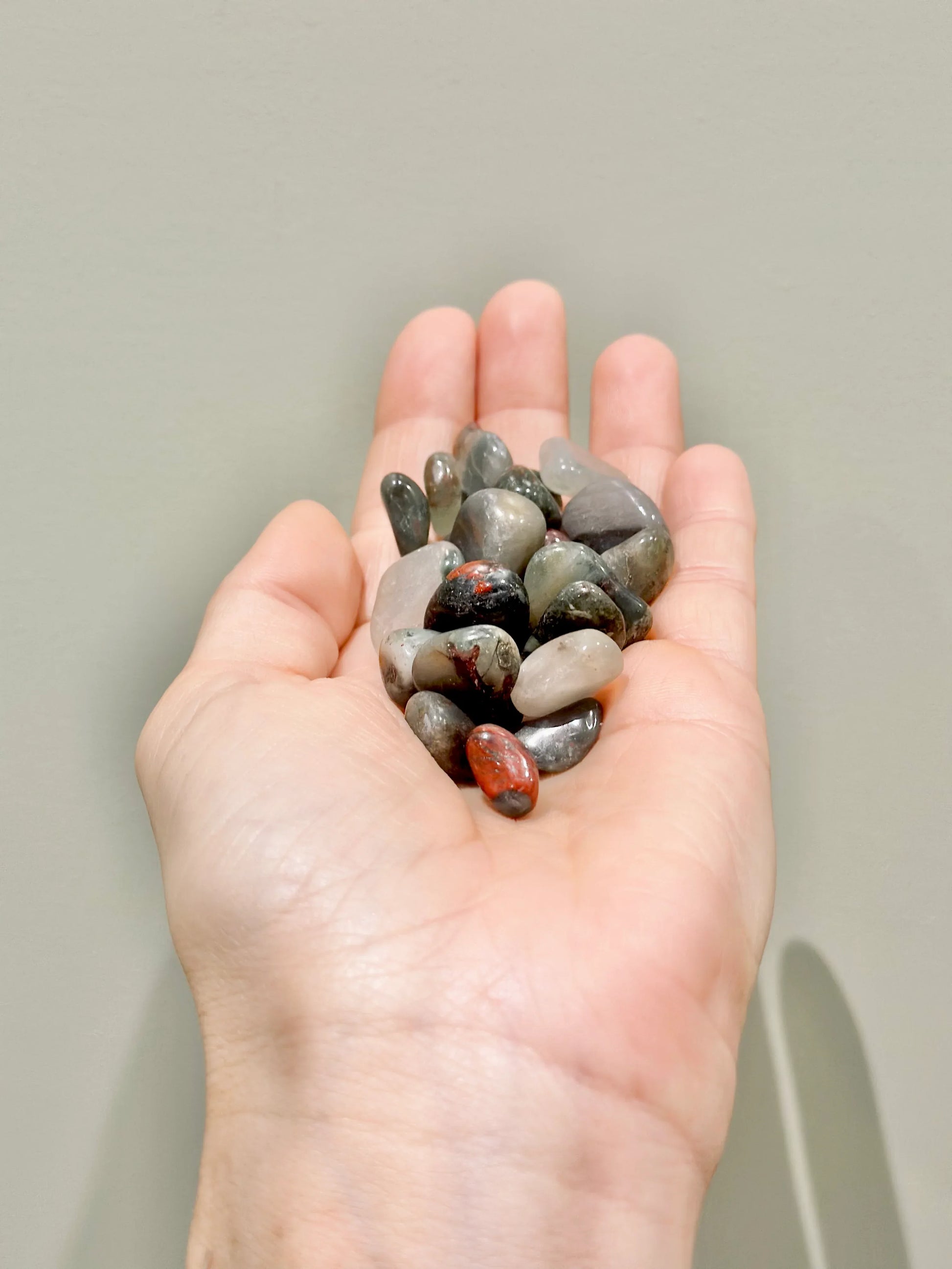 Rodado de Heliotropo - La Quinta Vidal