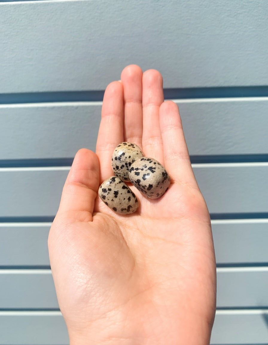 Rodado de jaspe dálmata 