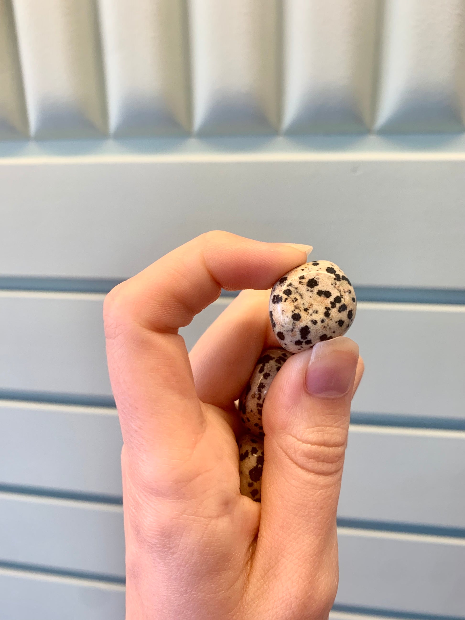 Rodado de jaspe dálmata 