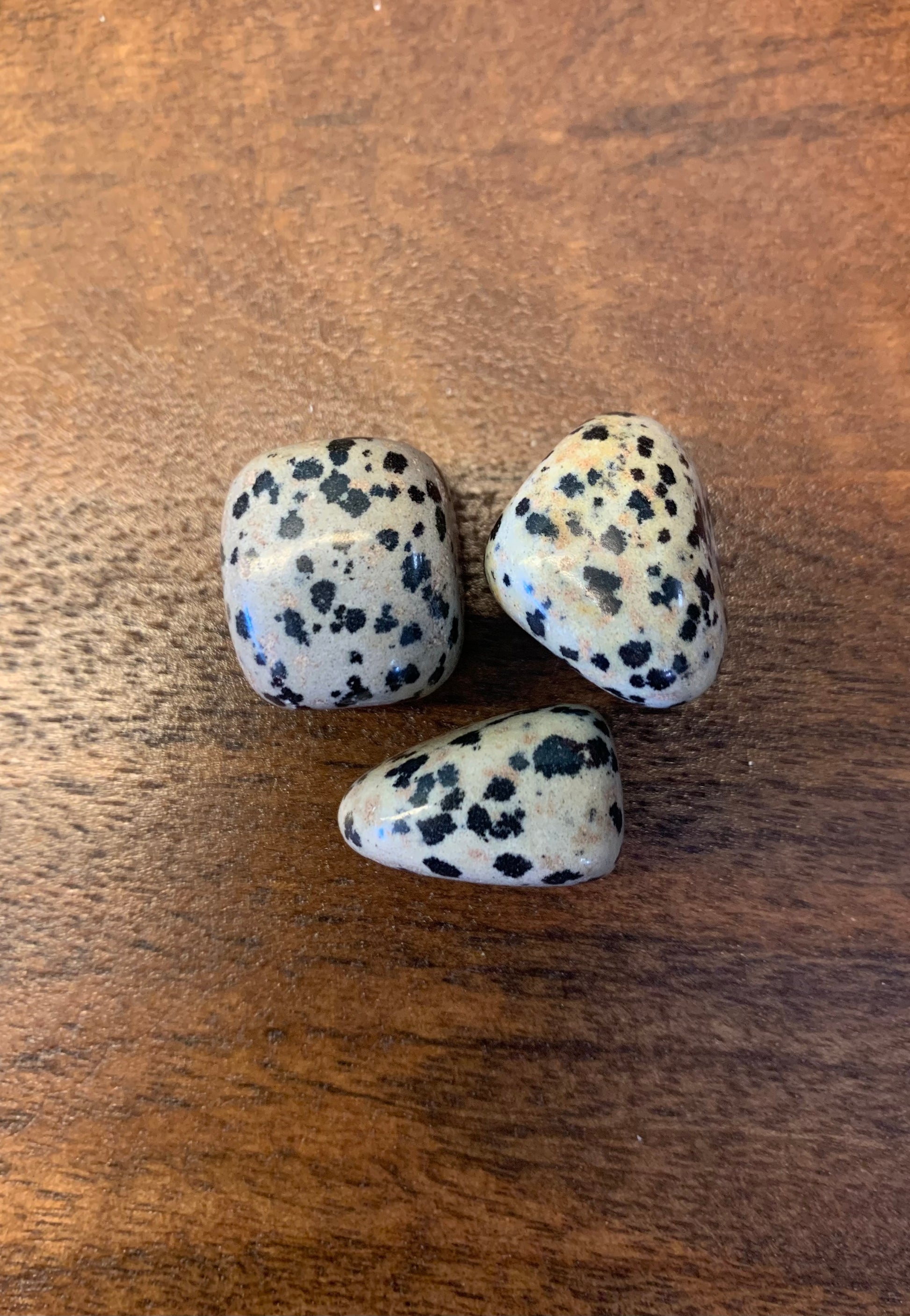 Rodado de jaspe dálmata 