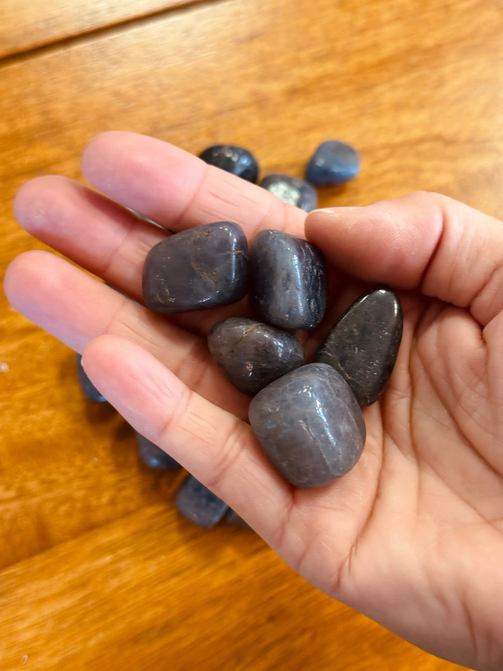 Rodado de Iolita - La Quinta Vidal