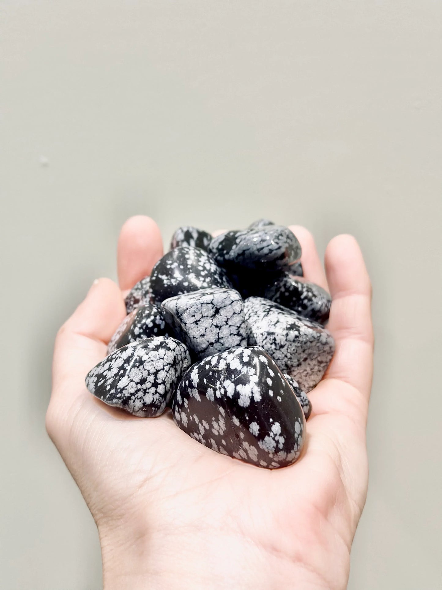 Rodado de Obsidiana Nevada - La Quinta Vidal