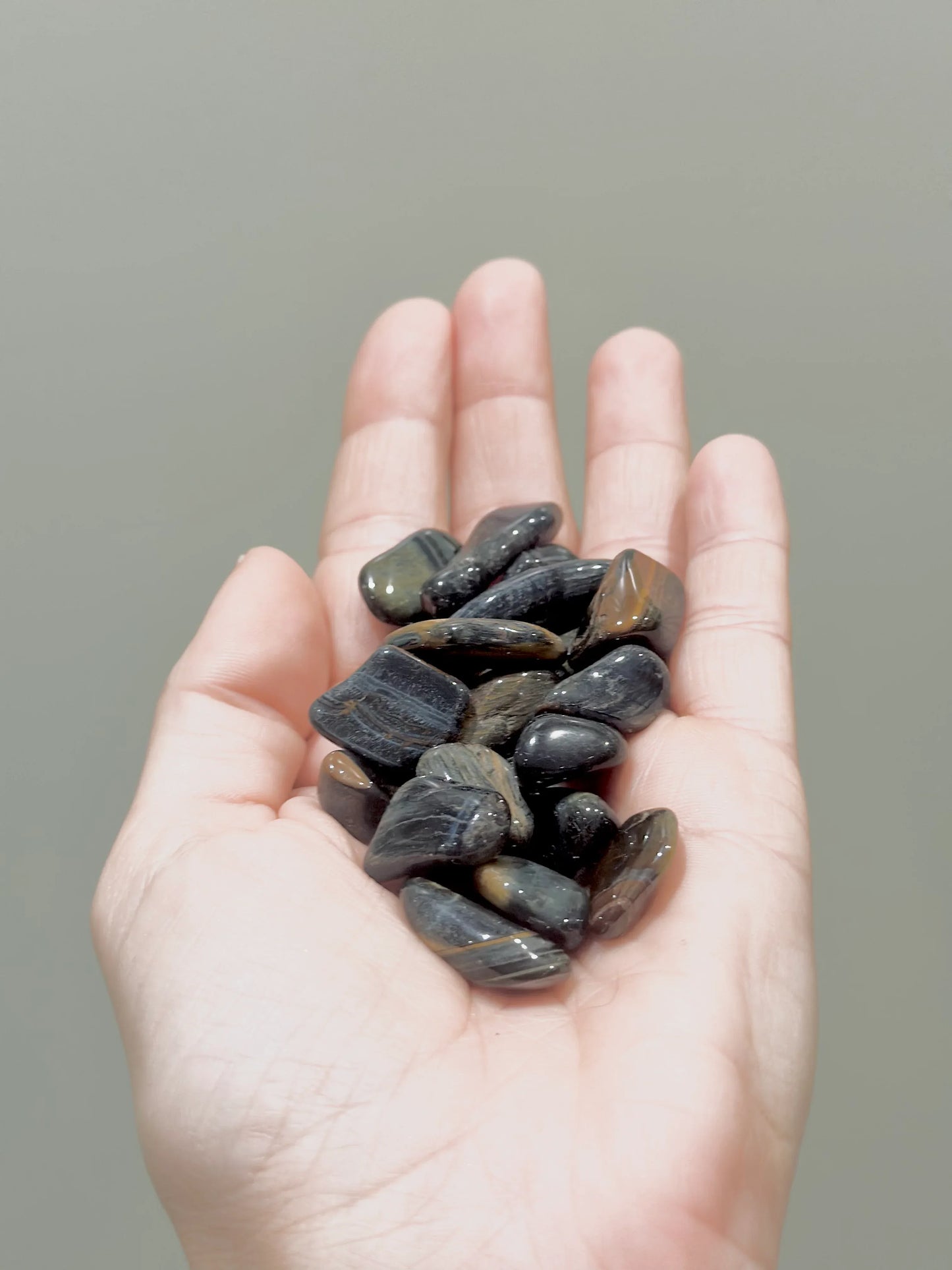 Rodado de Ojo de Halcón - La Quinta Vidal