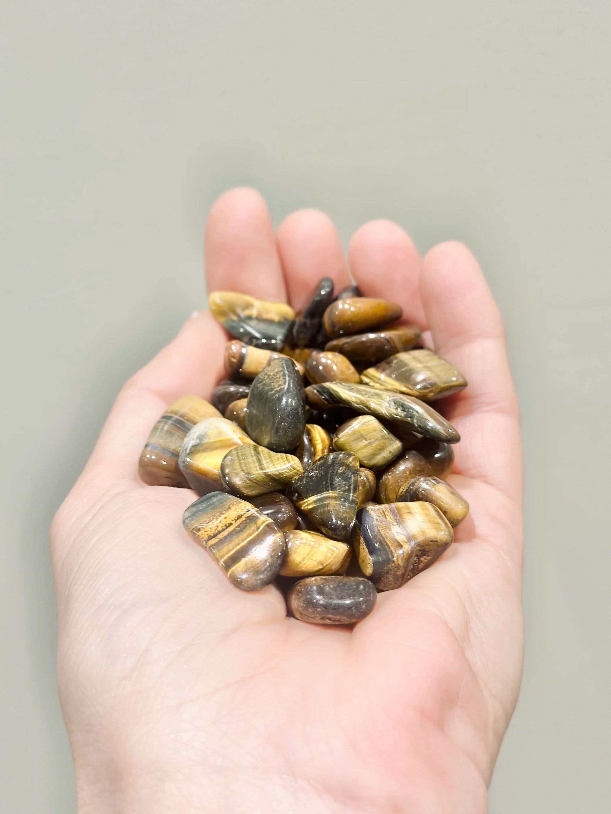 Rodado de Ojo de Tigre - La Quinta Vidal