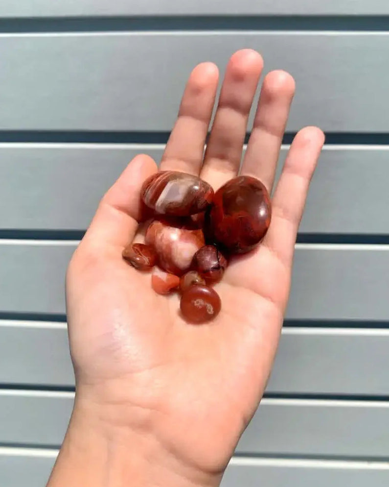Rodado de sardonyx