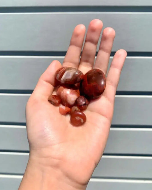 Rodado de sardonyx
