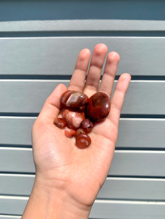 Rodado de sardonyx 